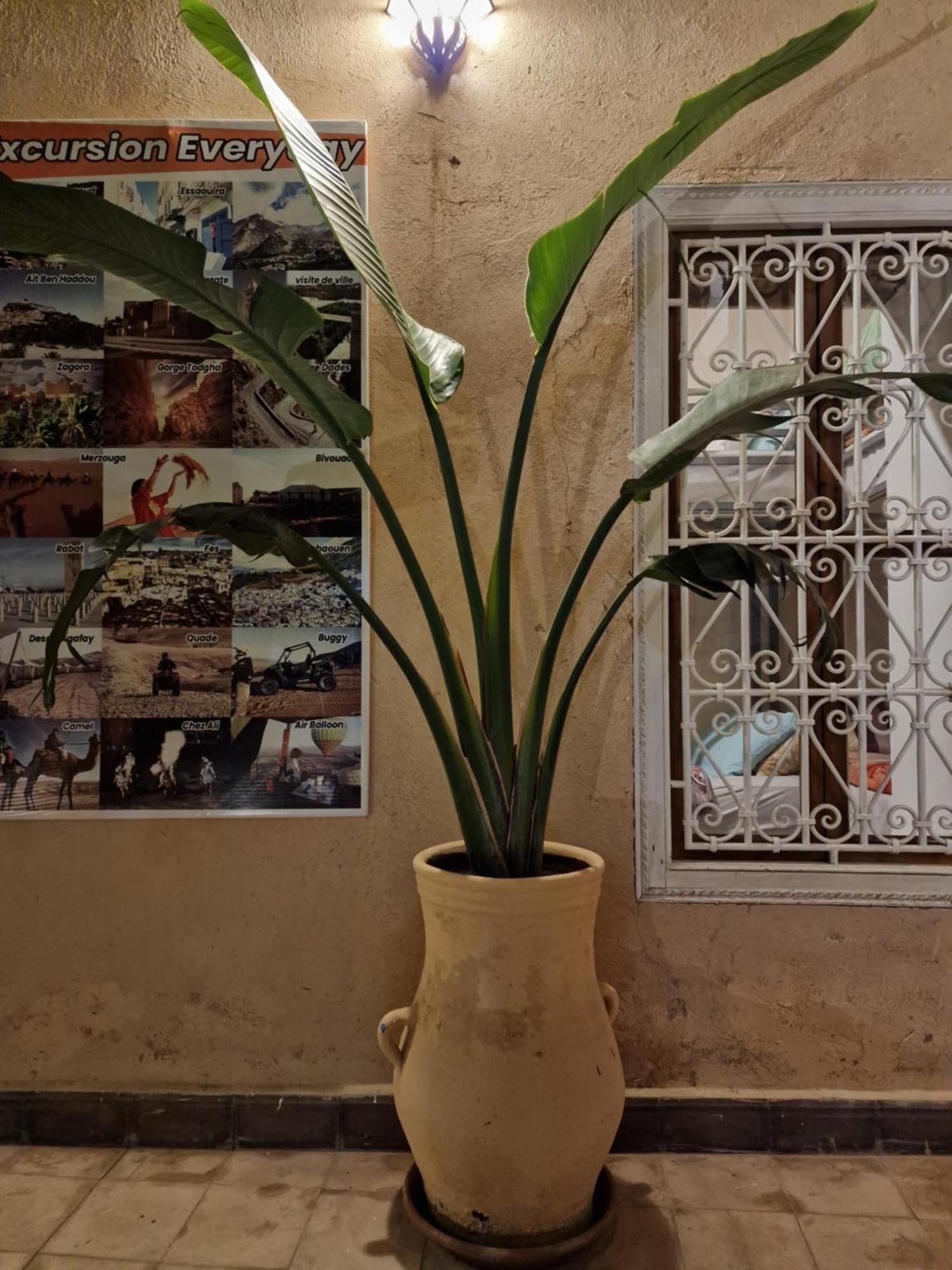 Hostel Laksour Marrakesh Exterior photo